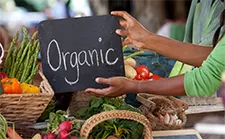 Benefits of Organic Food Processing   & Handling Certification